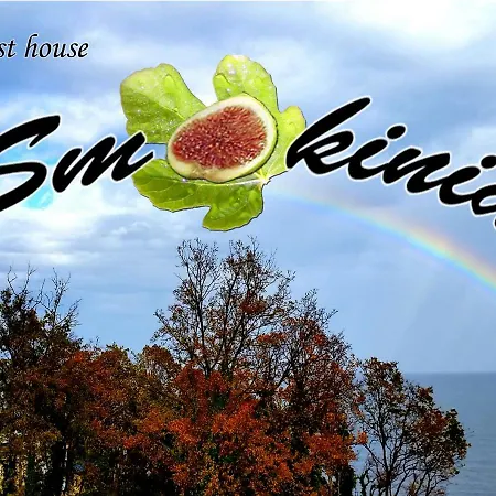Смокиня Guest house *